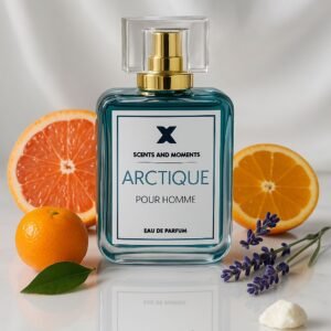 ARCTIQUE